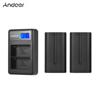 Andoer F550 Battery & Charger Kit 2pcs 7.4V 2200mAh NP-F550 Battery + 1pc LCD2-NPF550 Dual Channel Camera Battery Charger USB Port LCD Display for LED Video Light