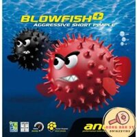 Andro BlowFish+