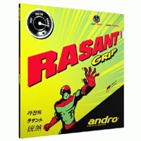 Andro Rasant grip