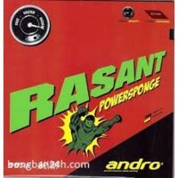 Andro Rasant Powersponge