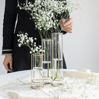 Ánh Sáng Sang Trọng Kim Loại Bình Hoa Đứng Bình Thủy Tinh Trong Suốt Phong Cách Bắc Âu Tối Giản Thủy Canh Tàu Lọ Hoa Sắt Rèn Bình Thủy Tinh Để Bàn Trang Trí Gia Đình Trang Trí Nhà Cửa