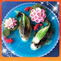 [Ảnh thật] [An Toàn – Tiết Kiệm] Combo 5 khuôn cá chép trung