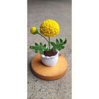 [Ảnh Thật ] Chậu hoa Vạn Thọ bằng len móc thủ công...hình thật shop chụp