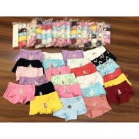 [ẢNH THẬT, GIÁ SHOCK] Quần Chip đùi bé gái, quần chip xuất dư HM 100% cotton, hình hoạt hình siêu hot siêu xinh