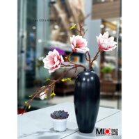 [Ảnh thật] Hoa Mộc lan đại MIO Decor