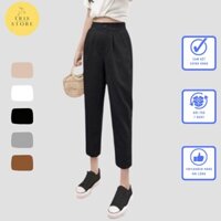 [Ảnh thật] Quần Baggy đũi nữ Eris loại dày chun sau cúc khóa lửng vải đũi xước cao cấp mặc đi chơi đi học mà bigsize