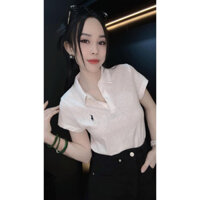 (ẢNH THẬT TRẢI SÀN) Aó Polo cổ bẻ chất Giấy gạo Hàn Quốc Thêu Ngựa