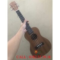 (ẢNH THẬT) UKULELE CONCERT GỖ THỊT CỔ ĐIỂN