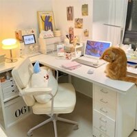 [Ảnh thật/Sẵn] Ghế tựa lưng ghế máy tính phòng ngủ nữ ký túc xá học tập tại nhà văn phòng ghế trang