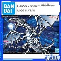 [Ảnh thật/Video]Spot Bandai FIGURE-RISE Game Vua Cá Ngựa Seto Mắt Xanh Rồng Trắng Mô Hình Lắp Ráp