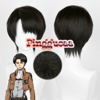 Anime Attack on Titan Levi Ackerman 30cm Black Brown Short Heat Resistant Synthetic Wigs
