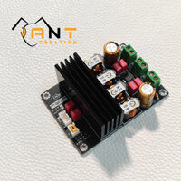 ANT DIY - Mạch khuếch đại công suất Class D Dual Mono TPA3116/ 18 / 56 - 60W/ 100W/ 140W x2