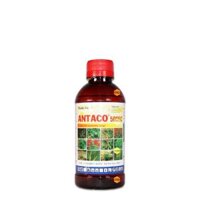 ANTACO 500EC | Trừ cỏ diệt mầm trên cây trồng màu - Chai 450ml