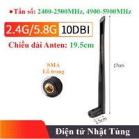 ANTEN 2.4G/5.8GHz 10DBI 19.5CM LỖ TRONG NHỌN, ANTEN WIFI, ZIGBEE