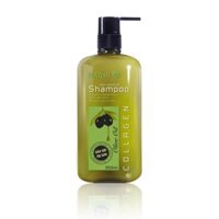 ANTI-DANDRUFF SHAMPOO – DẦU GỘI OLIU DÀNH CHO TÓC GÀU
