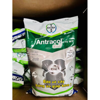 Antracol 1kg cung cấp Kẽm Zn bảo vệ cây trồng kết hợp nativo tăng hiệu quả