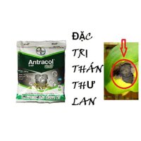 Antracol 70WP 100 gr- Thuốc trị nấm bệnh cho Phong Lan