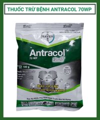 Antracol 70WP 100g Áo giáp kẽm