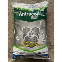 ANTRACOL 70WP 1kg - [BAYER] Bảo vệ cây bằng bằng thành phần kẽm cao, bóng lá, ngừa bệnh hiệu quả