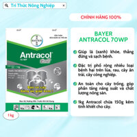 ANTRACOL 70WP BẢO VỆ CÂY BẰNG ÁO GIÁP KẼM GÓI 1KG