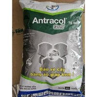 ANTRACOL 70WP BAYER - 1KG