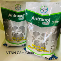 ANTRACOL 70WP - BAYER (Kg)