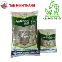 Antracol 70WP - Giúp quản lý bệnh thán thư, khô vằn, mốc xanh, rỉ sắt, suong mai, đốm lá, thối trái