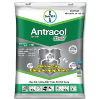 Antracol 70wp gói 1 kg