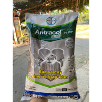 Antracol 70WP gói 1kg chính hãng Bayer