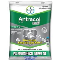 Antracol70wp