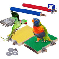 Antyfron 4 Thú Cưng Chim Vẹt Vuốt Mài Thanh Dính Đứng Cá Rô Gỗ Ban Nhai Đồ Chơi