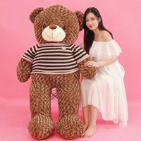 ANVIHOME Gấu bông Teddy nâu bự khổng lồ siêu đáng yêu 1m2, 1m6, gấu bông quà tặng cao cấp