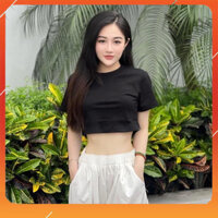 Áo Baby Tee Croptop Finemous Cao Cấp - TD016