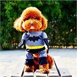 Áo batman cho chó size số 1 - L1902-1