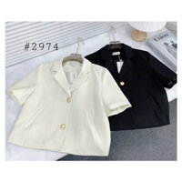 Áo Blazer Nữ Cổ Vest Vải 2 Lớp Thoáng Mát