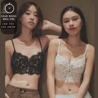 Áo bra corset bralette ren mềm có gọng mút mỏng sang chảnh mặc áo vest hàng đẹp BRA330