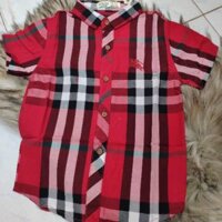 Áo burberry bé trai