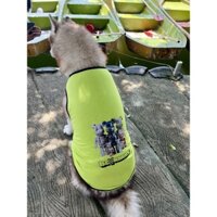 Áo cho chó Becgie - Áo cho chó lớn