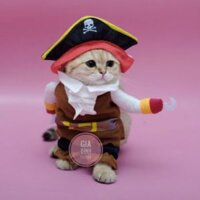 Áo chó mèo cosplay cướp biển A44