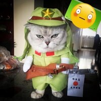 Áo chó mèo cosplay lính Nhật A50