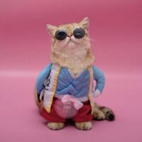 Áo chó mèo cosplay võ sĩ Nhật A52