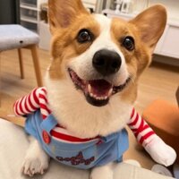 Áo Cosplay Chucky Ngộ Nghĩnh Cho Chó - SP006019chucky