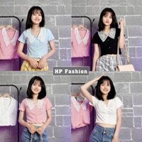 Áo croptop ❤️ Áo thun nữ cổ phối ren xinh xắn Chất thun gân co dãn - CT02