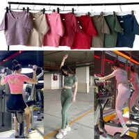 Áo croptop cộc ngắn tay sẵn mút áo kiểu khoét hoa sau lưng đẹp màu pastel cực xinh
