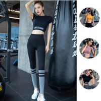Áo croptop cộc tay tập yoga nữ, áo thể thao tập gym nữ tay ngắn ôm body vải dệt kim cao cấp CROP06