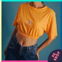 Áo Croptop 💖FREESHIP💖 Giảm 10k Khi Nhập [PKUN10K] Nữ Bo Thêu Hoa Cúc Siêu Kute CT17