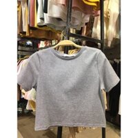 Áo croptop khoét lưng