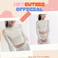ÁO CROPTOP KIỂU TAY DÀI PHONG CÁCH KHOÉT VAI HÀN QUỐC BASIC CÁ TÍNH FREESIZE HEYCUTIES.OFFICIAL