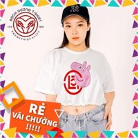 Áo Croptop Nữ Bạch Dương In Hình Hoạt Hình Bé Heo form đẹp kiểu cá tính vải dày mịn không xù lông