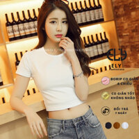 Áo croptop nữ cổ tròn cộc tay vải cotton bozip dày đẹp ôm body cao cấp crotop nữ thun co giãn tốt ELY214A